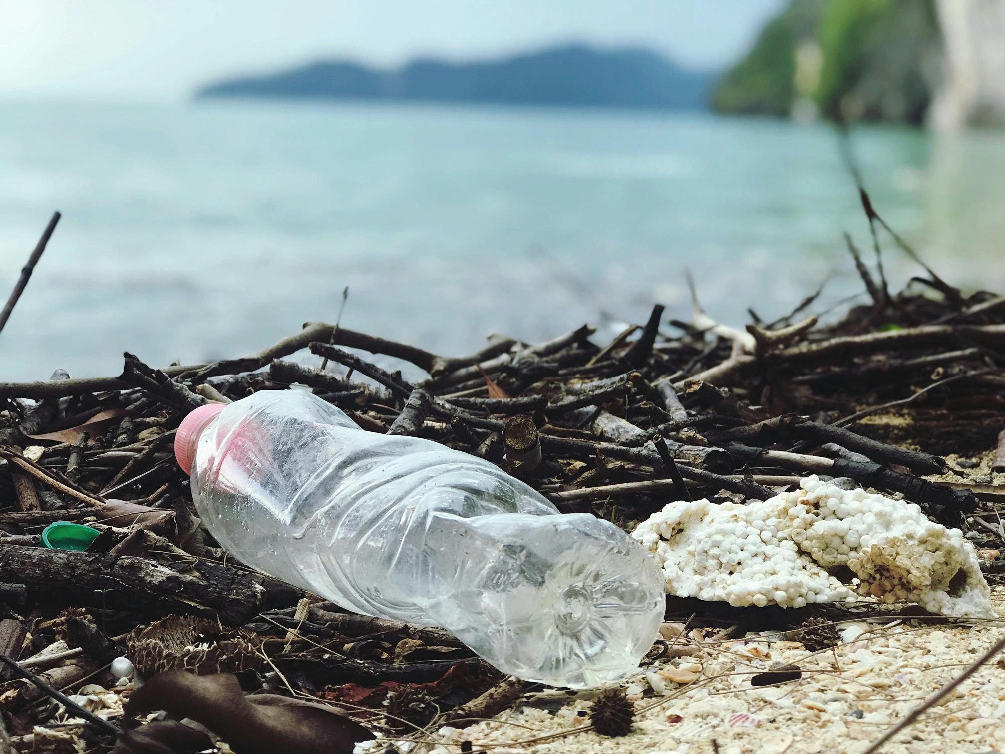 The Silent Threat: How Plastic Pollution Impacts Marine Life thumbnail